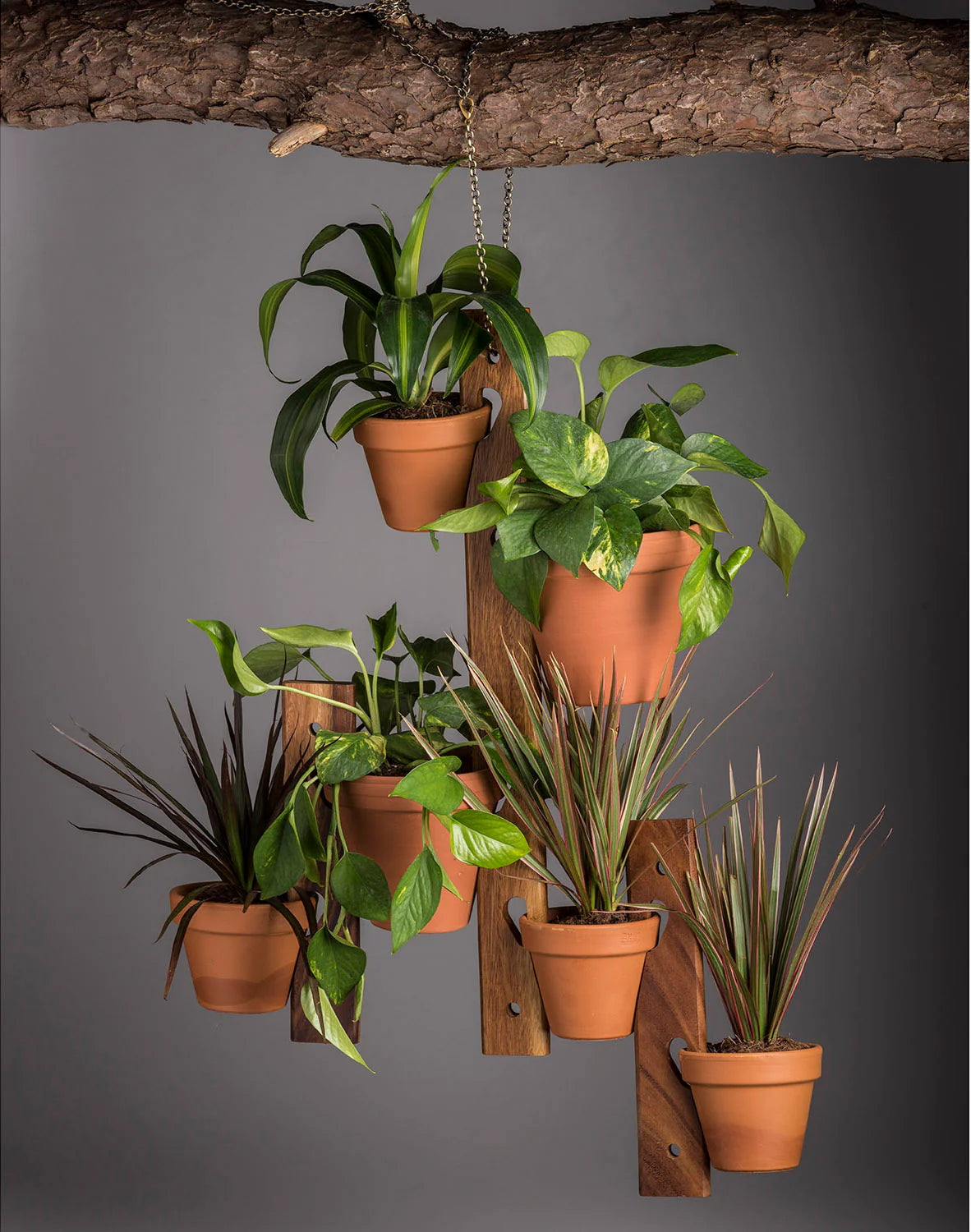 Acacia Wood Hanging Plant Pot Holder 3 piece set