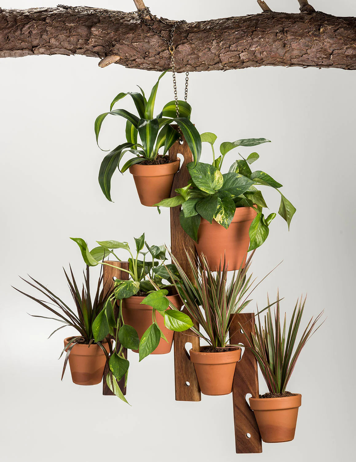 Acacia Wood Hanging Plant Pot Holder 3 piece set