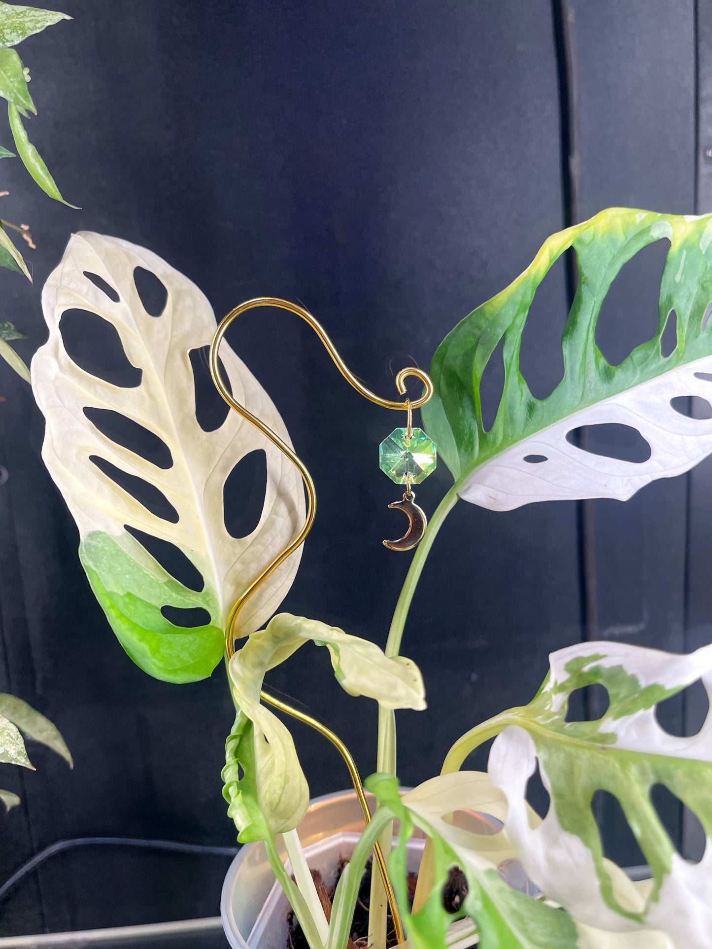 Plant Stake Trellis Wave Charm, Wire Decoration Handmade