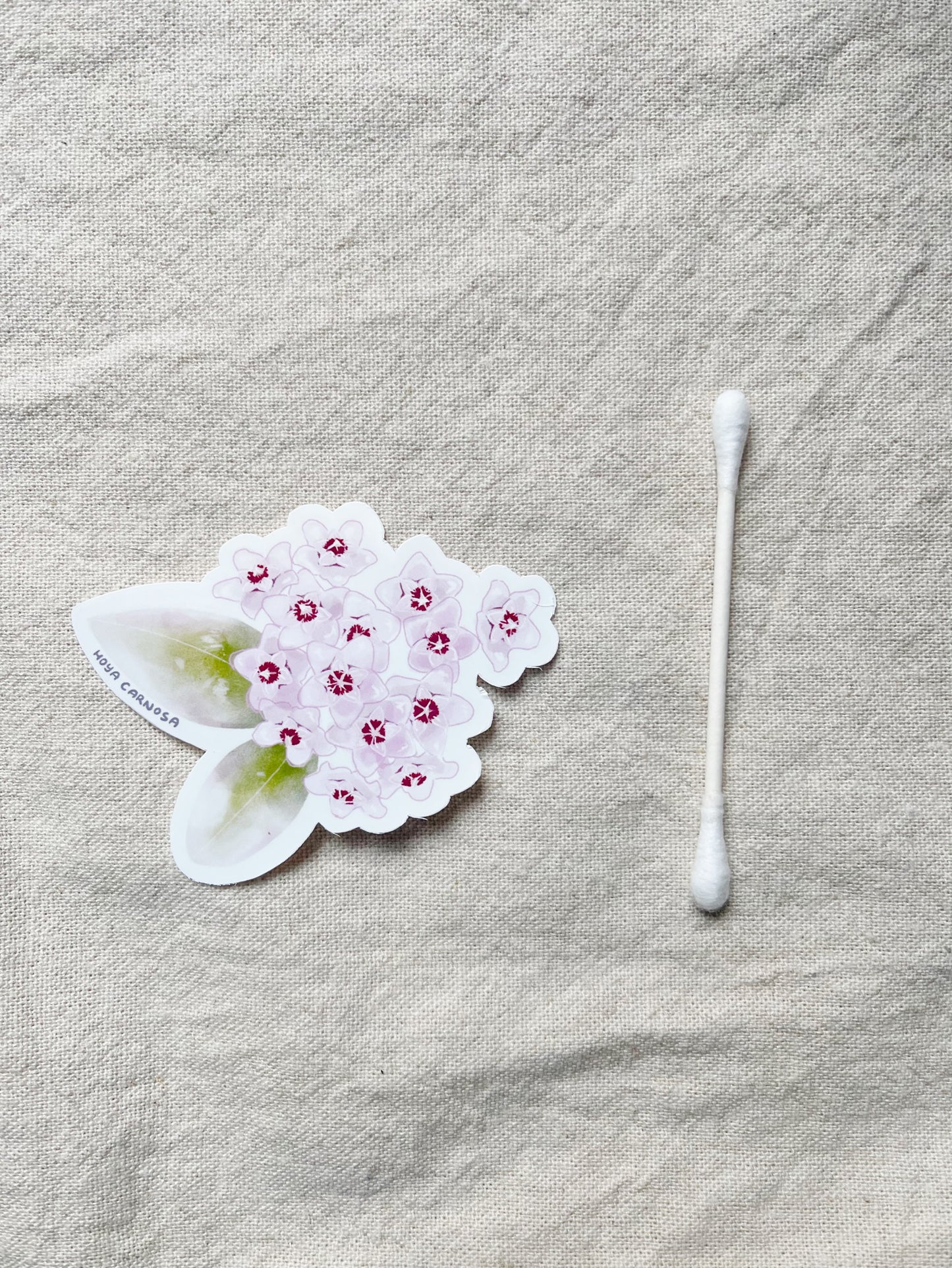 Hoya Blooms Die Cut  Vinyl Sticker Callistophylla, Burtoniae, Linearis, Krohniana, Carnosa, Caudata