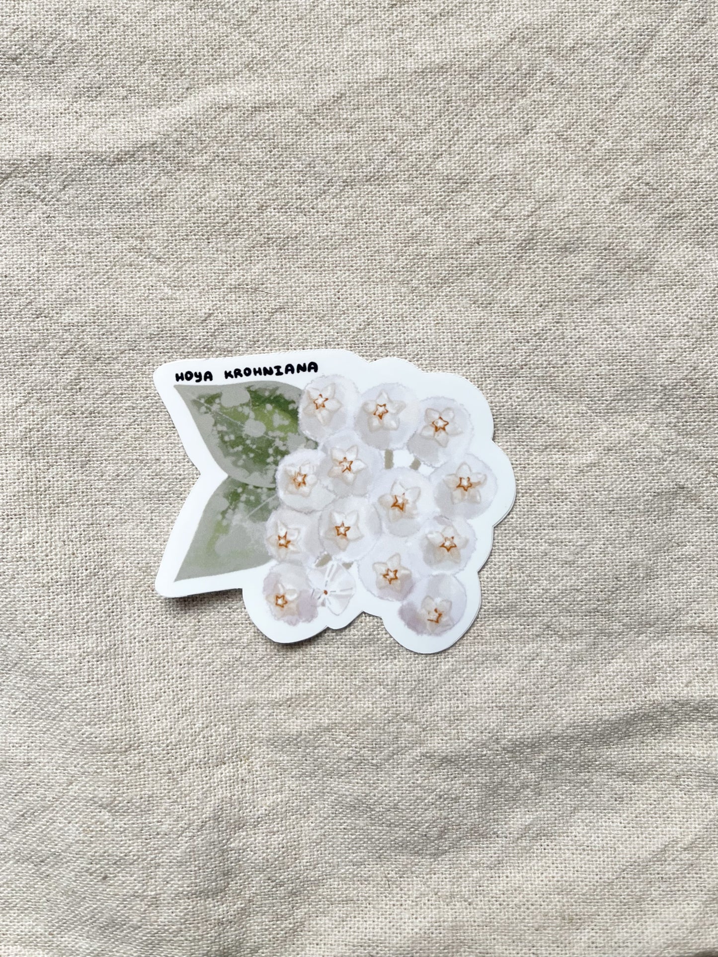 Hoya Blooms Die Cut  Vinyl Sticker Callistophylla, Burtoniae, Linearis, Krohniana, Carnosa, Caudata