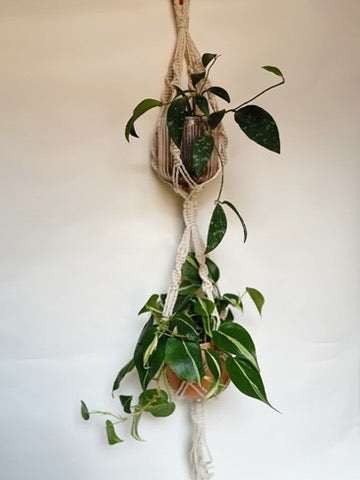 Macrame Plant Hanger 29"