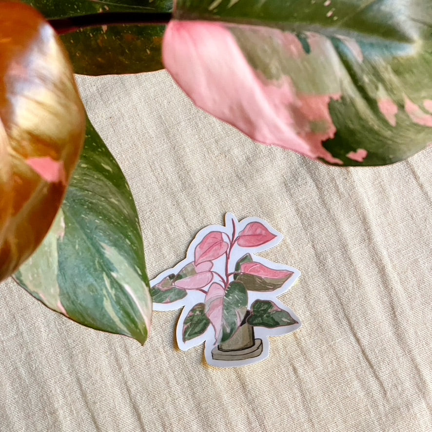 Pink Princess Die Cut Vinyl Sticker