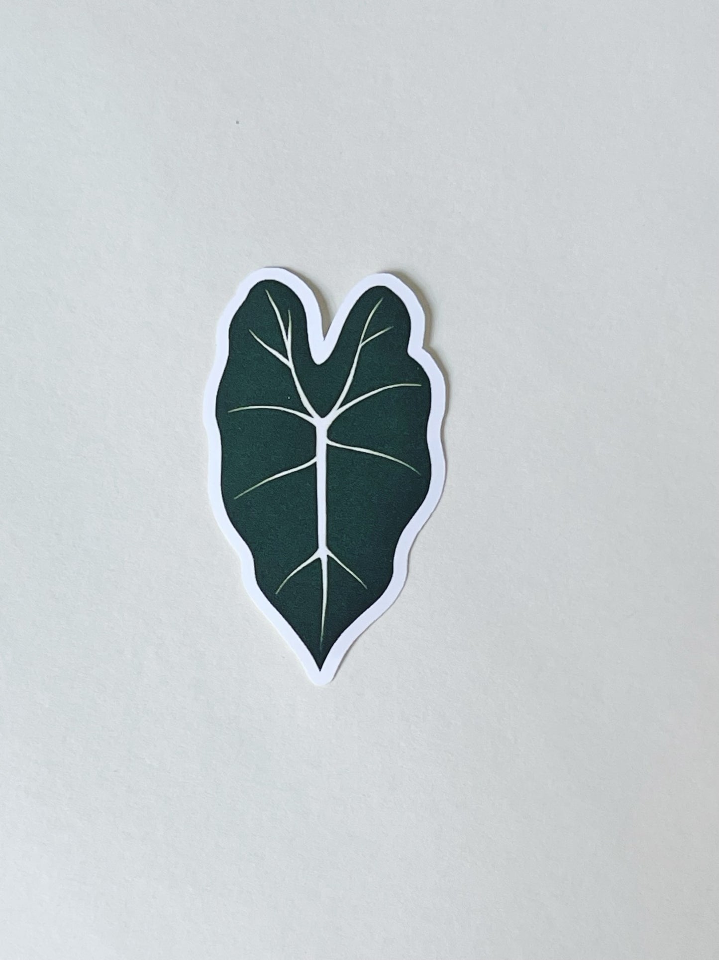 Rare Plant Vinyl Sticker