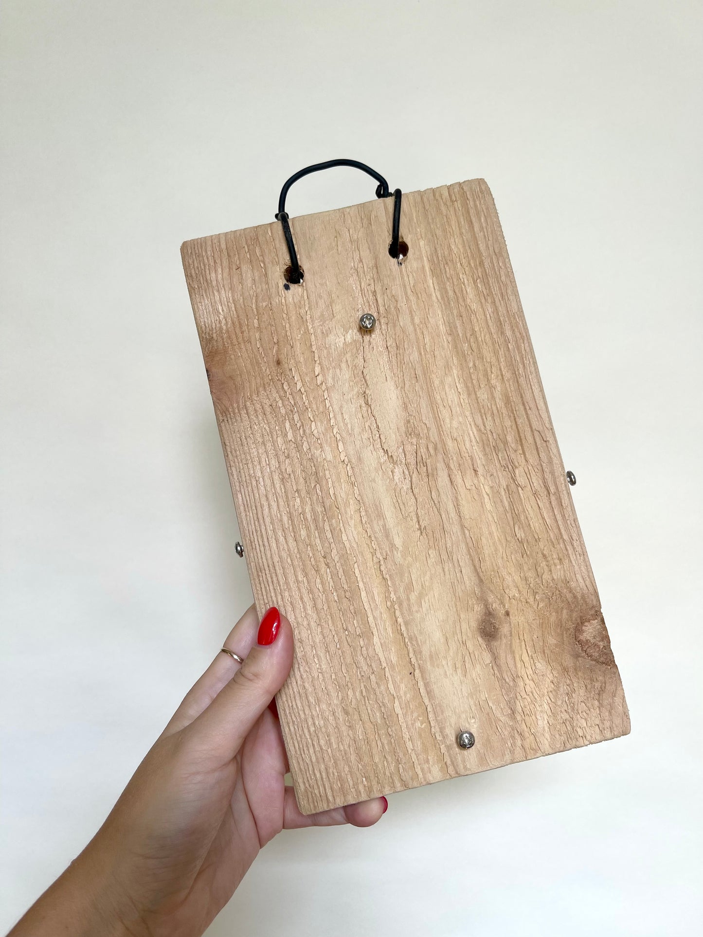 Staghorn Fern Mounting Kit: Cedar Board, Moss, Plant