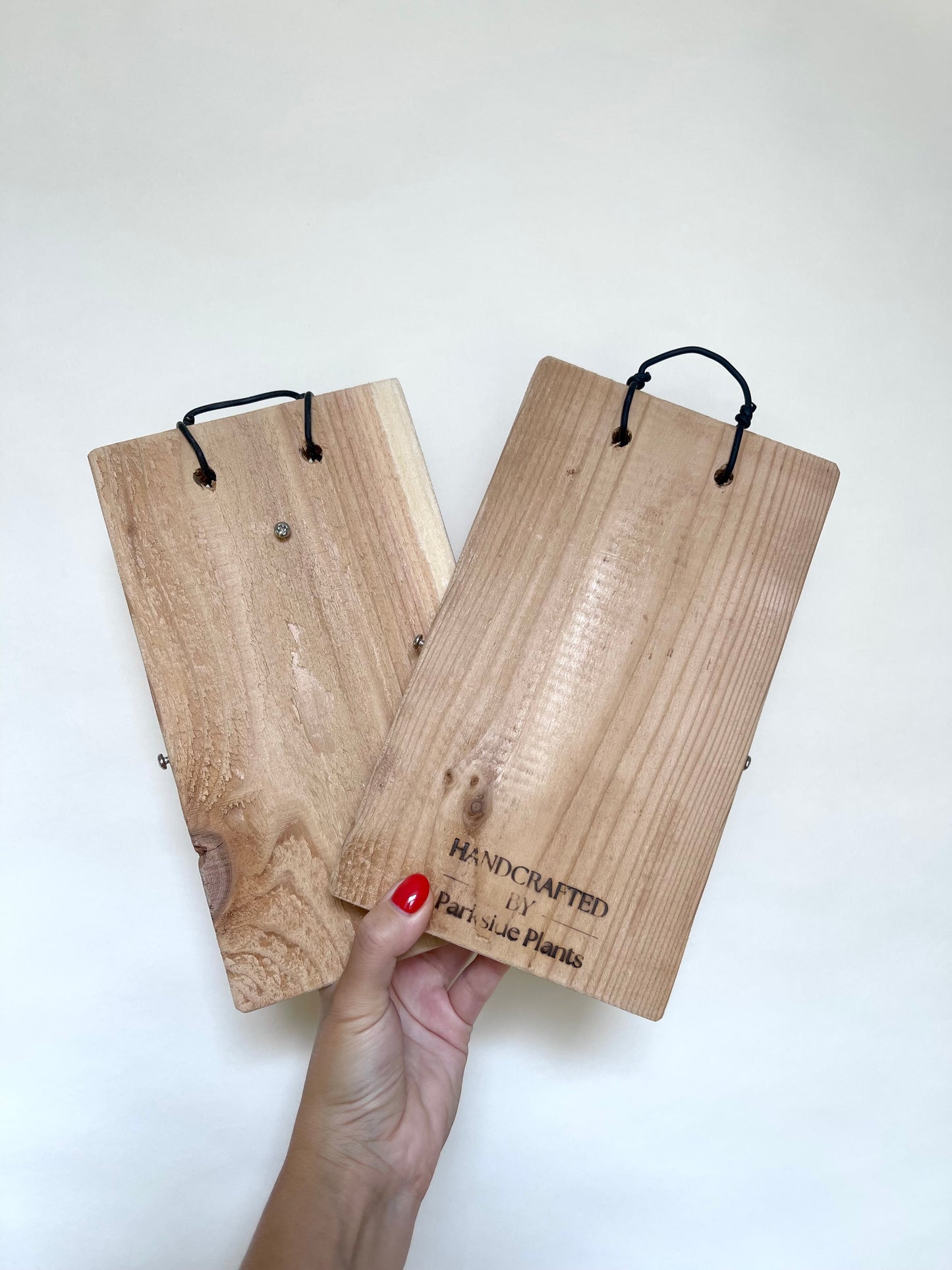 Staghorn Fern Mounting Kit: Cedar Board, Moss, Plant