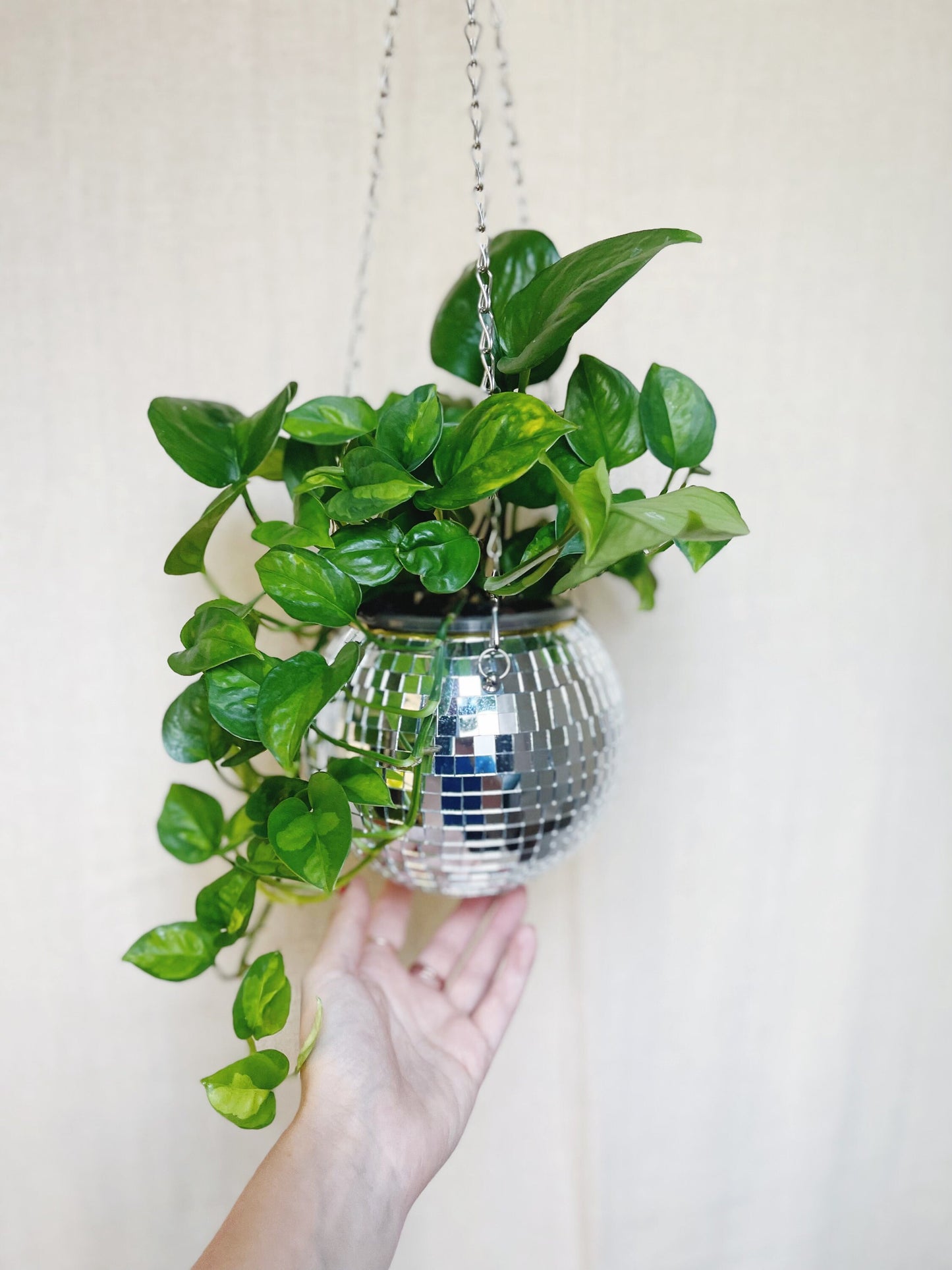 Disco Ball Party Planter with 4.5" Insert Pot Retro Design